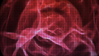 __Plasmagrid.jpg