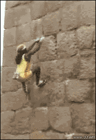 tumblr_m2chlp8ZsE1qdlh1io1_250.gif