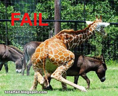 animal-sex-fail.jpg