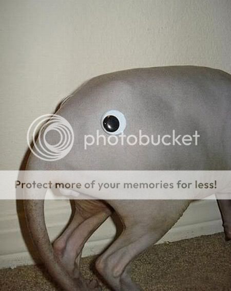 pics-0005.jpg