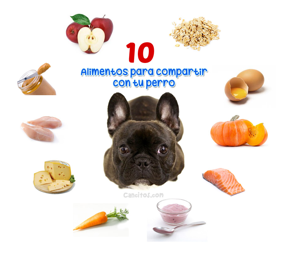 Alimentos-para-compartir-con-tu-perro.jpg