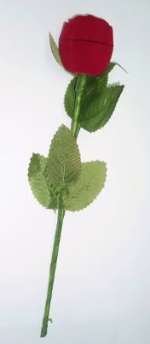 rosaanillo1.jpg