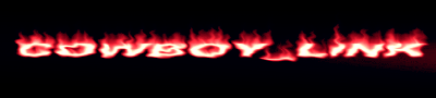 cowbow_linkfrima.png