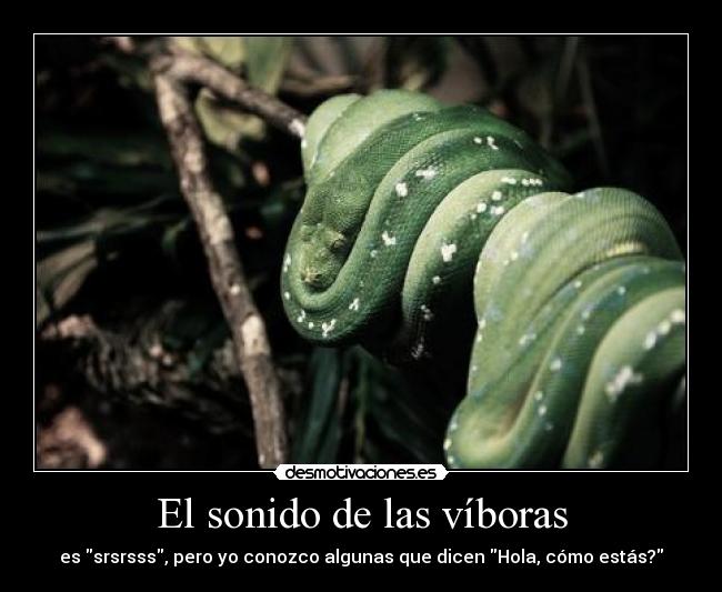 tumblr_m95xui65921r123b5o1_500.jpg