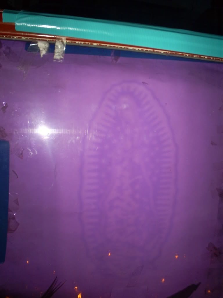 S5030014.jpg