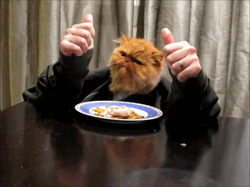 tumblr_lucz9y4ivj1r5a42fo1_500.gif