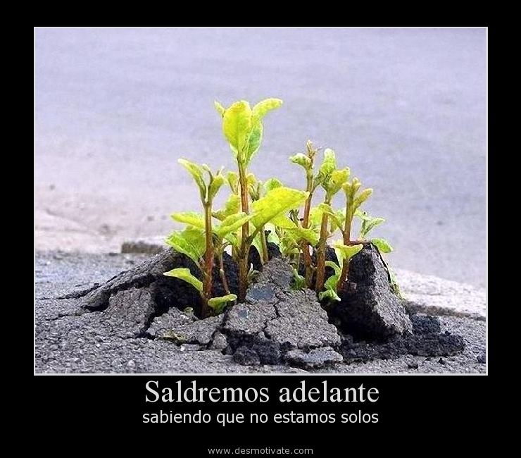 8f1dd52bfee9d57f8ab52cc3658dfa51152841.jpg
