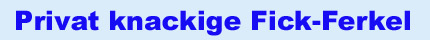 pr1knf1fe_title.jpg