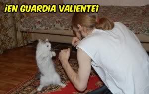 en-guardia-valiente-300x189.jpg