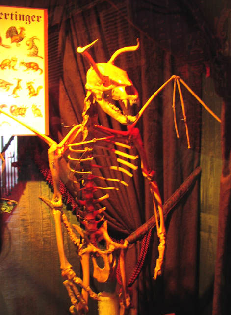 ac-ripleys-jersey-devil-03.jpg