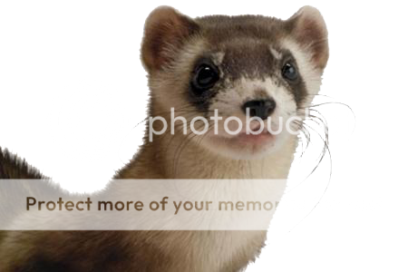 jun2007huronthumbnailcopy.png