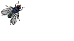 566MM097.gif