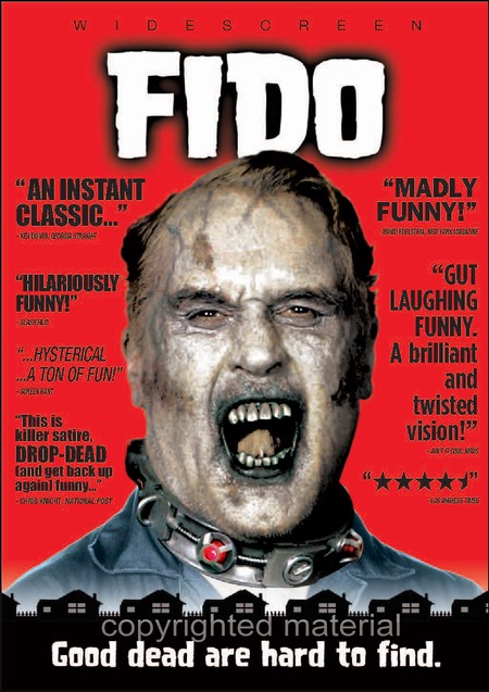 fido-4.jpg