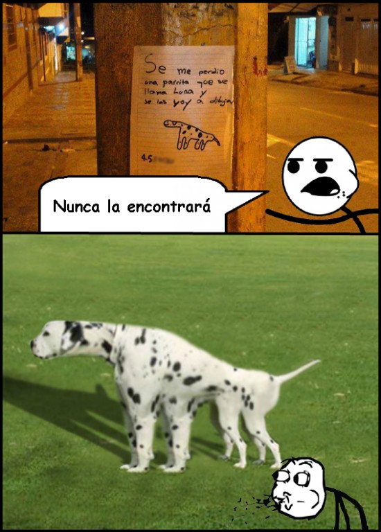CC_1428410_cereal_guy_luna_la_perrita.jpg