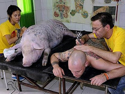 tattooed_pigs.jpg