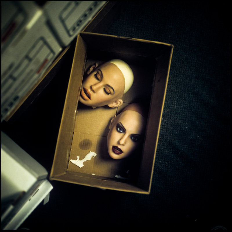 realdolls01.jpg