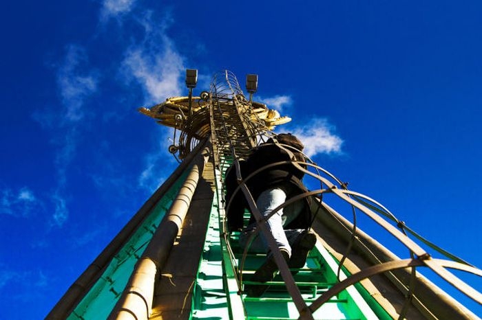 rooferstyry31.jpg