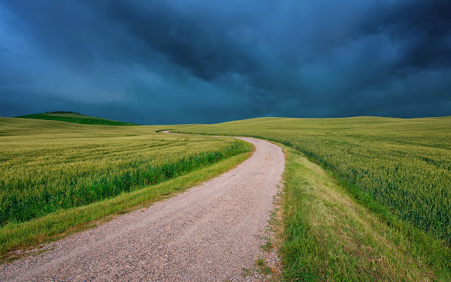 nature00082.jpg