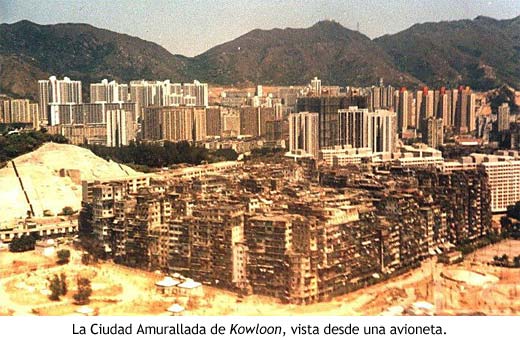 kowloon_lateral.jpg
