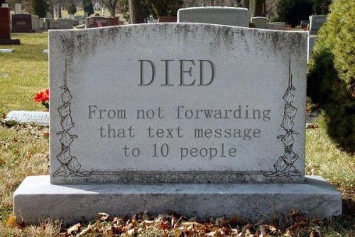 tumblr_ltu96fuBtH1qbfbzyo1_500.jpg