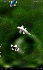 pDAvNZwG4xJ6ViiwUGghYgapebqTsNO5INz0f5kTog5Oyk57DBxmsxO2Hcl62yzeBZk=h230