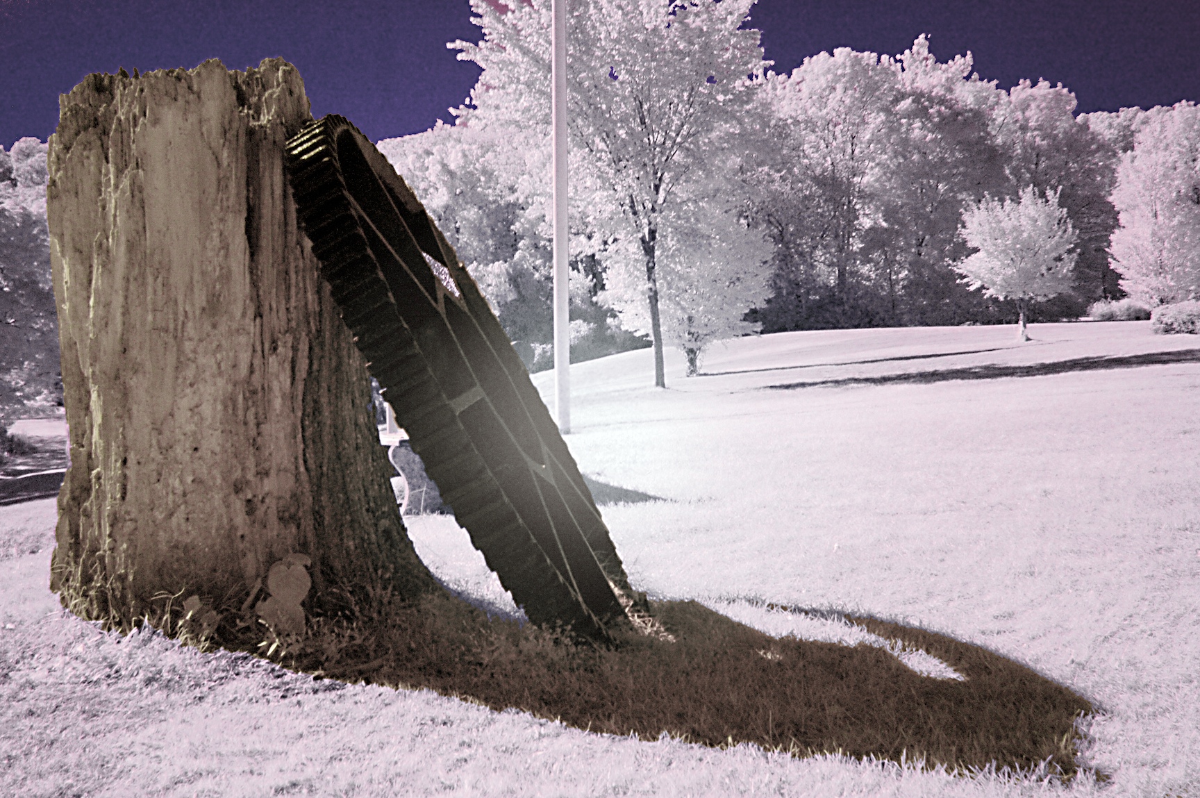 nigel-infrared-071.jpg