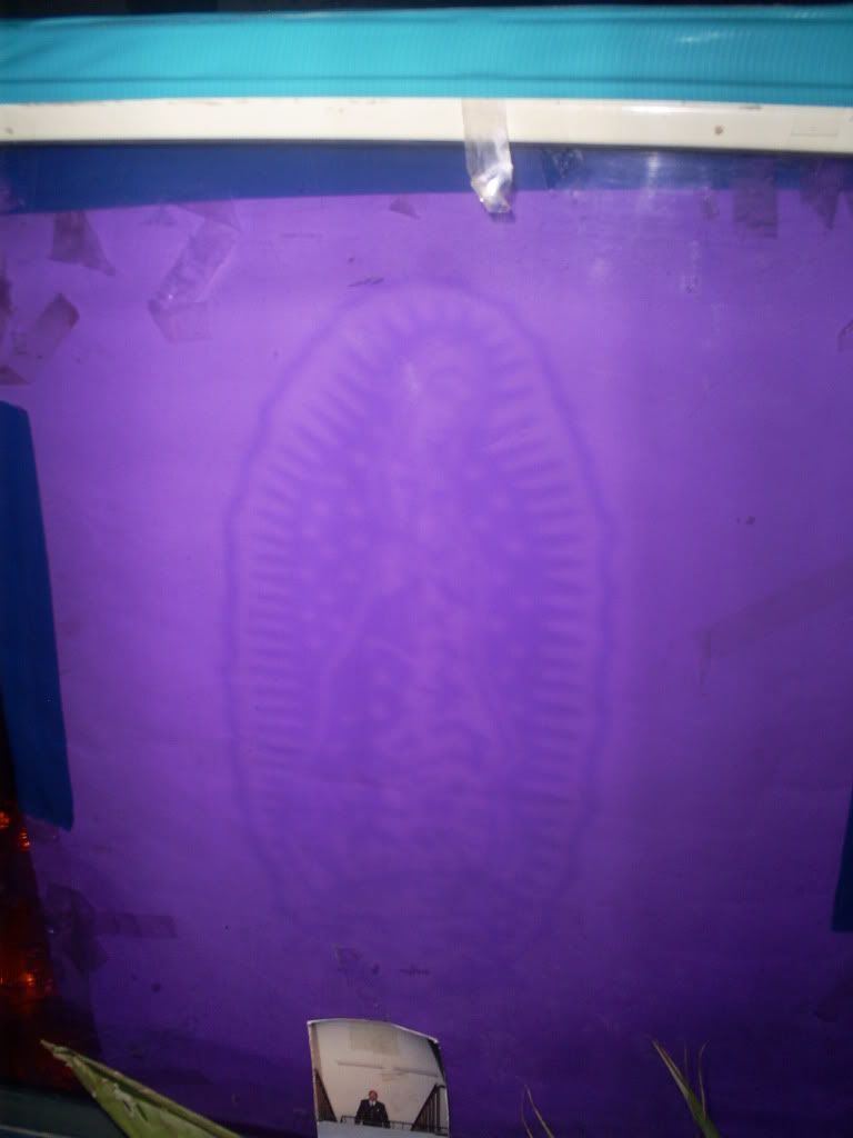 S5030018.jpg