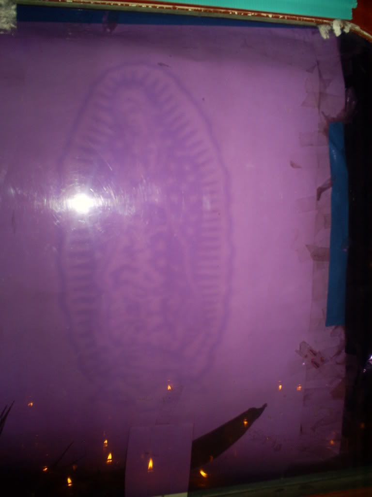 S5030016.jpg