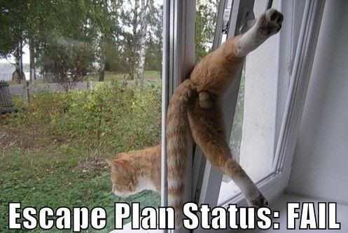 funny-pictures-escape-plan-fail.jpg