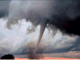 lafuerzadelanaturaleza_zps8be8321c.gif
