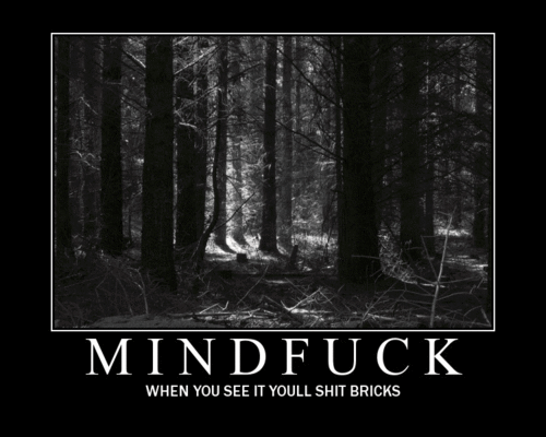 tumblr_lt5ubpI6Bw1qcb5h6o1_500.gif