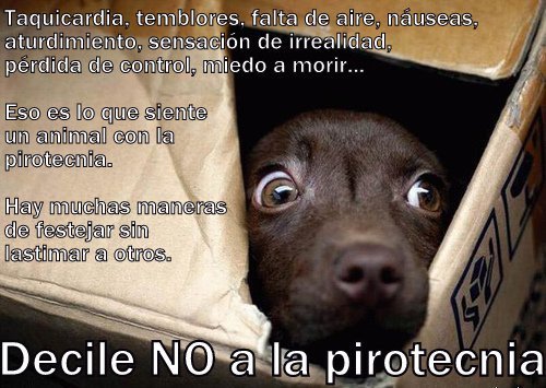 pirotecnia.jpg