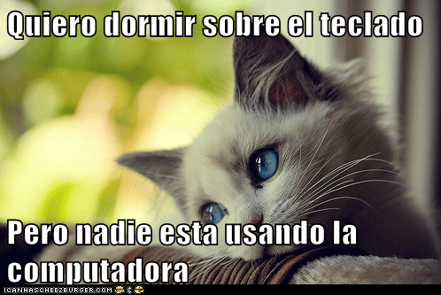 cd4396db-90b1-4cd3-b6de-7b9b83fb30a0.png