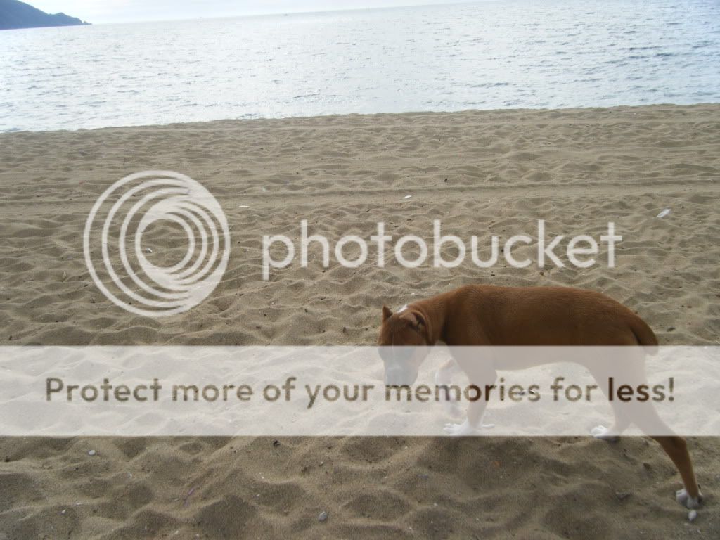 DSCF5092.jpg