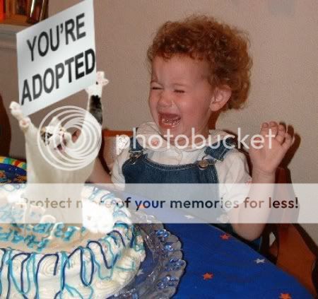 youre_adopted_trollcat.jpg