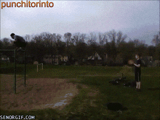 ibRj24.gif