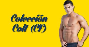29693619_Colt_CF.jpg