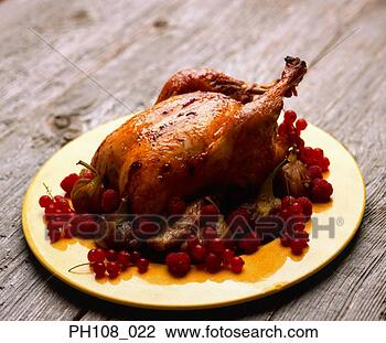 asado-pollo-elevado_%7EPH108_022.jpg