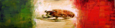 banner-1.gif