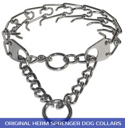 dog-pinch-collar-chrome-hs_LRG.jpg
