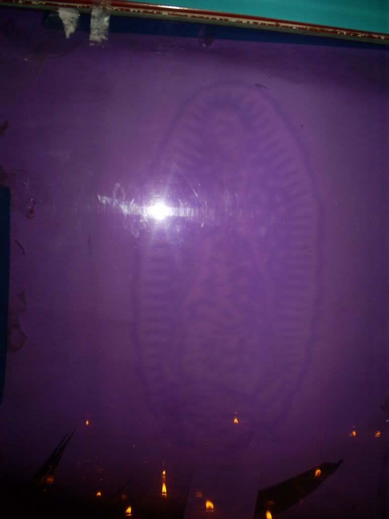 S5030017.jpg
