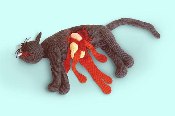 violent-toys-cat.jpg