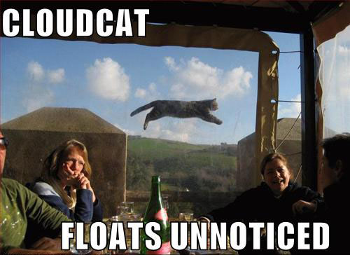 funny-pictures-cloud-cat.jpg