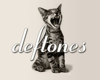 deftonesscreamingcat_zps9b4b79c2.jpg