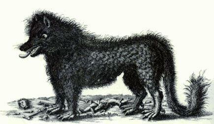 gevaudan-monstruo.jpg