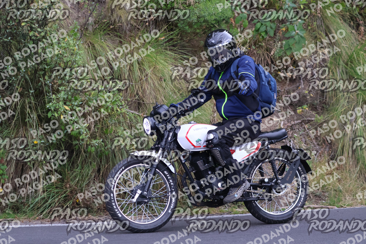 13274ljc_s.jpg