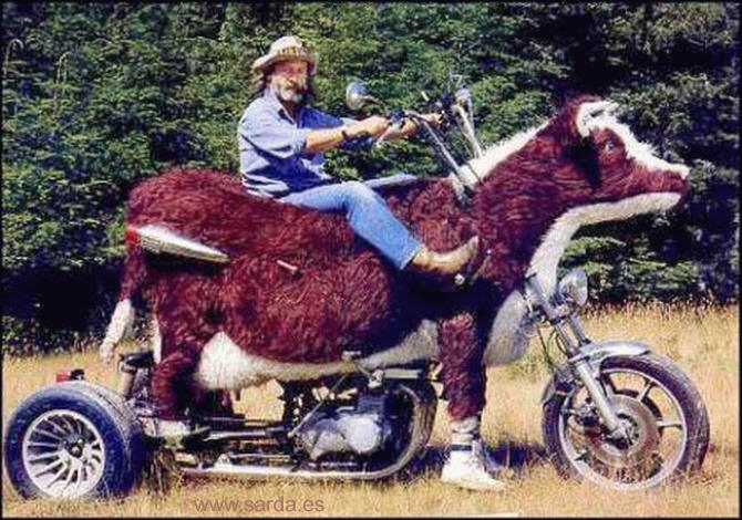 pedazo_moto.jpg