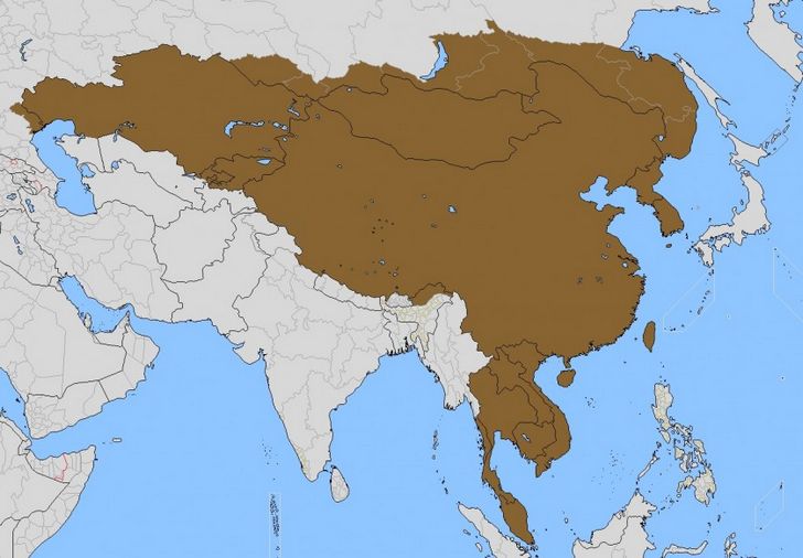 imperio-mongol.jpg