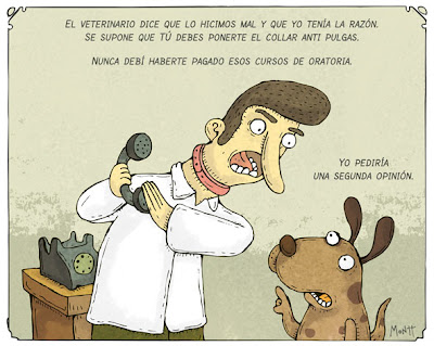 Collar-pulgas.jpg