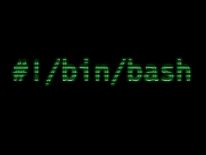 bash.jpg